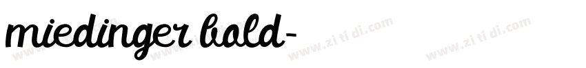 miedinger bold字体转换